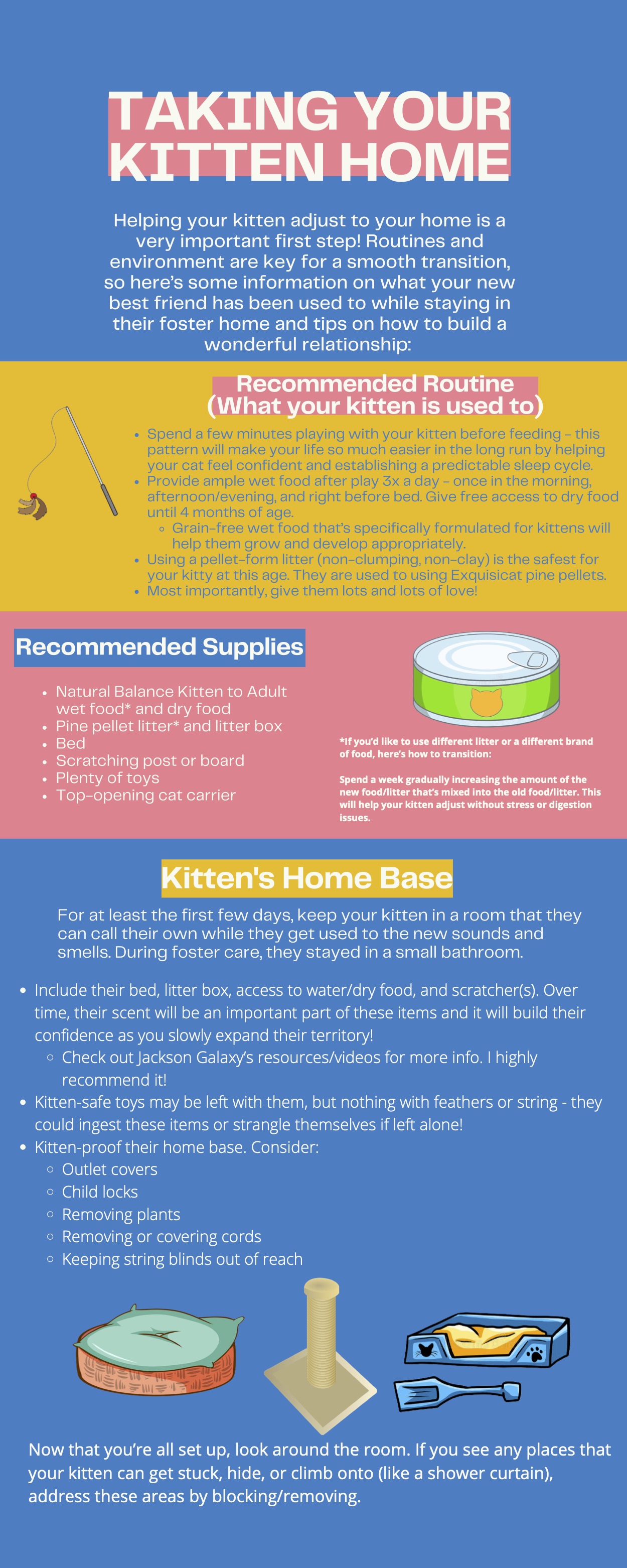 How to Care for Kittens – The Kitten Koop