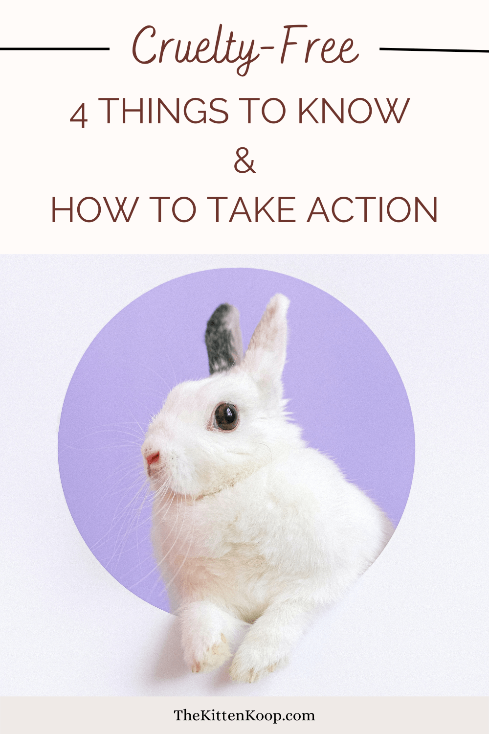 Cruelty-Free: 4 Things to Know and How to Take Action